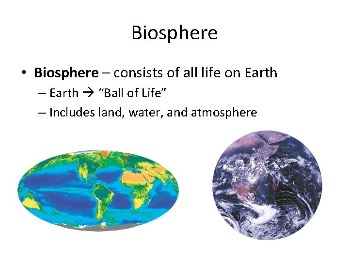 Biosphere • Biosphere – consists of all life on Earth – Earth “Ball of