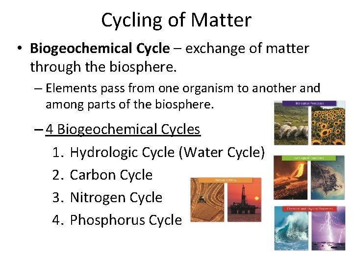 Cycling of Matter • Biogeochemical Cycle – exchange of matter through the biosphere. –