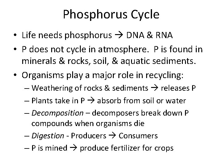 Phosphorus Cycle • Life needs phosphorus DNA & RNA • P does not cycle