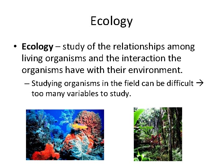 Ecology • Ecology – study of the relationships among living organisms and the interaction