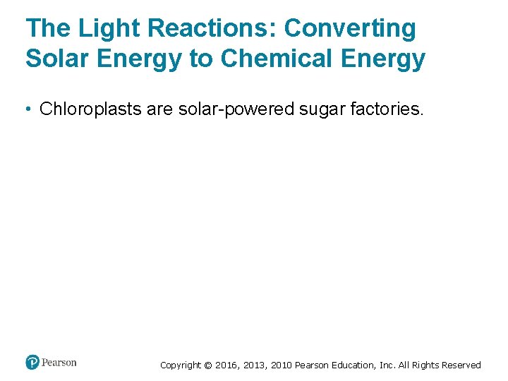 The Light Reactions: Converting Solar Energy to Chemical Energy • Chloroplasts are solar-powered sugar