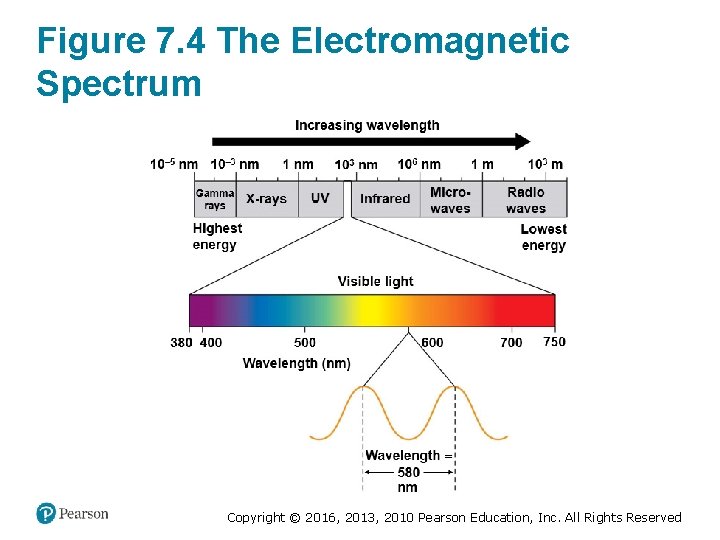 Figure 7. 4 The Electromagnetic Spectrum Copyright © 2016, 2013, 2010 Pearson Education, Inc.