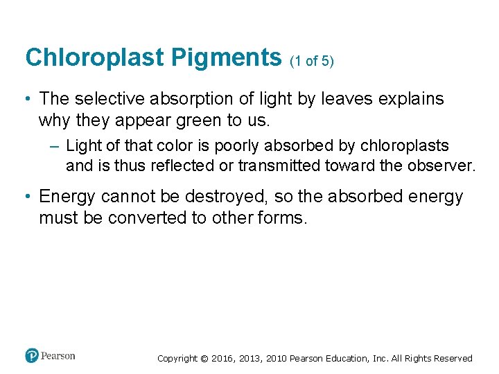 Chloroplast Pigments (1 of 5) • The selective absorption of light by leaves explains