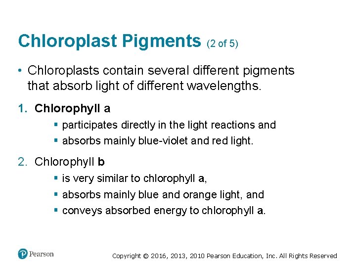 Chloroplast Pigments (2 of 5) • Chloroplasts contain several different pigments that absorb light