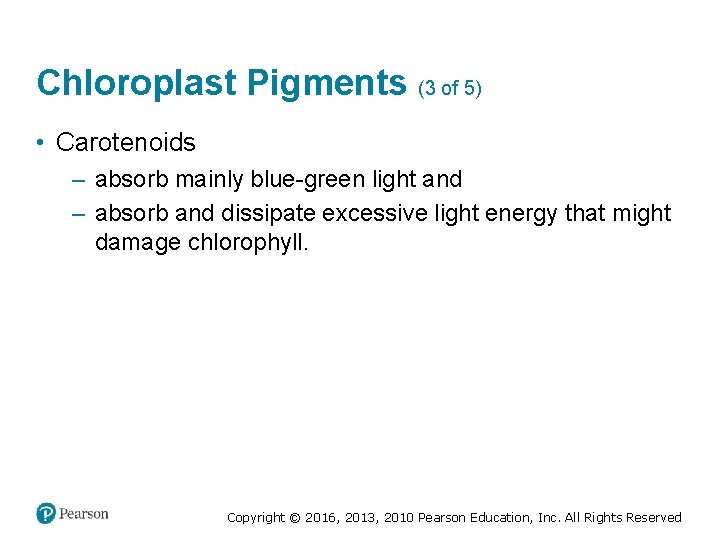 Chloroplast Pigments (3 of 5) • Carotenoids ‒ absorb mainly blue-green light and ‒