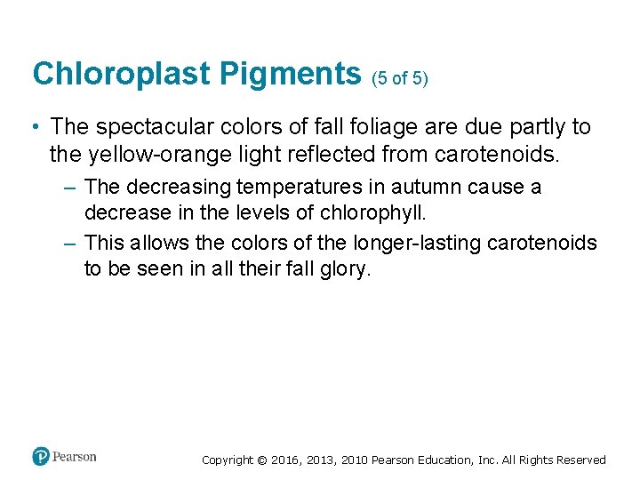 Chloroplast Pigments (5 of 5) • The spectacular colors of fall foliage are due