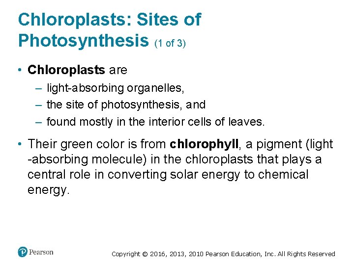 Chloroplasts: Sites of Photosynthesis (1 of 3) • Chloroplasts are ‒ light-absorbing organelles, ‒