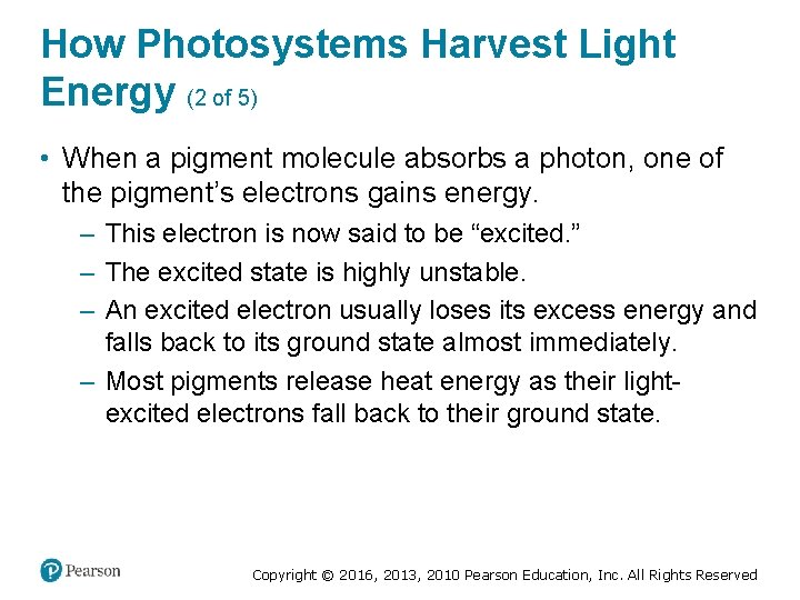 How Photosystems Harvest Light Energy (2 of 5) • When a pigment molecule absorbs