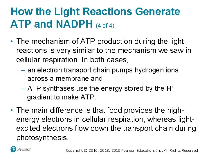 How the Light Reactions Generate ATP and NADPH (4 of 4) • The mechanism