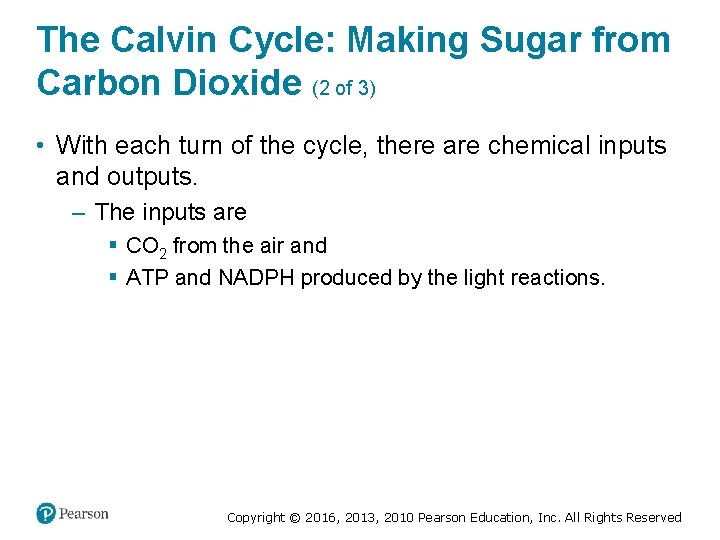 The Calvin Cycle: Making Sugar from Carbon Dioxide (2 of 3) • With each
