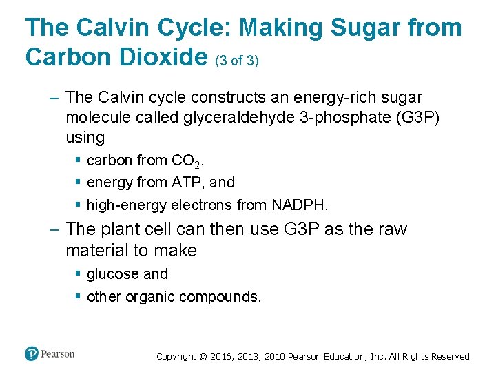 The Calvin Cycle: Making Sugar from Carbon Dioxide (3 of 3) ‒ The Calvin