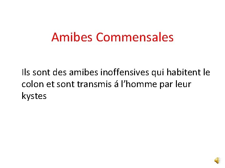 Amibes Commensales Ils sont des amibes inoffensives qui habitent le colon et sont transmis