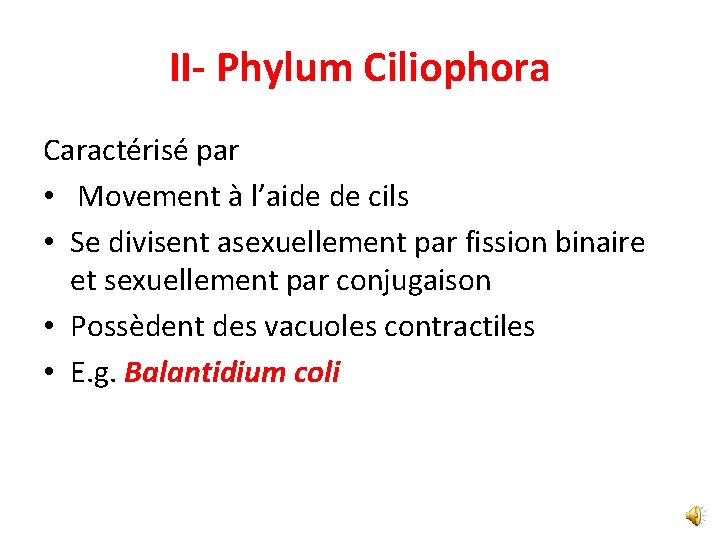 II- Phylum Ciliophora Caractérisé par • Movement à l’aide de cils • Se divisent