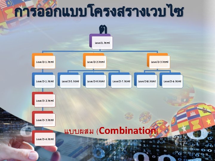 การออกแบบโครงสรางเวบไซ ต Level 1. html Level 2 -1. html Level 3 -1. html Level