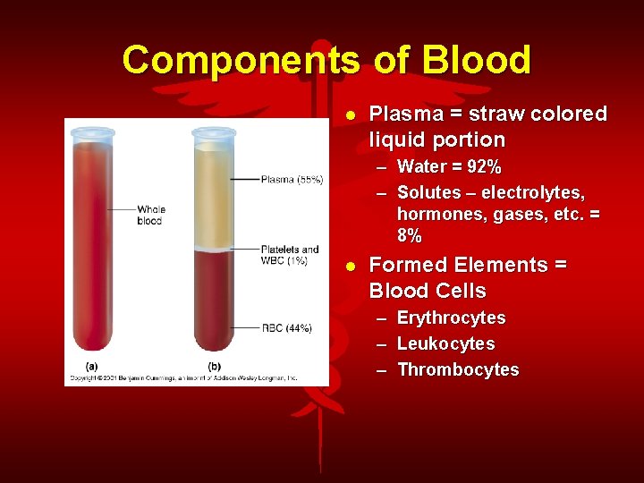 Components of Blood Plasma = straw colored liquid portion – Water = 92% –