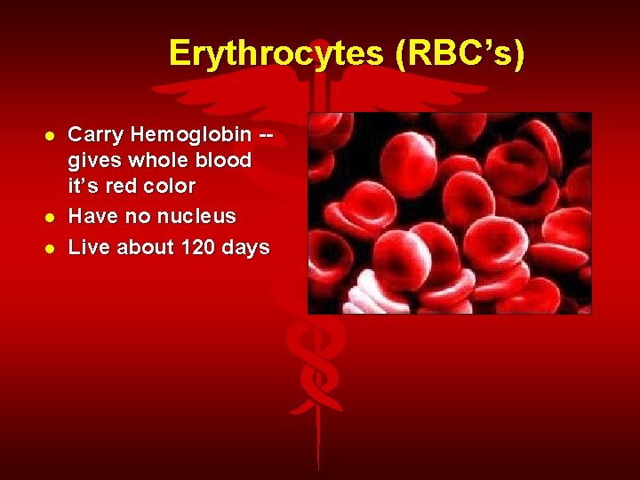 Erythrocytes (RBC’s) Carry Hemoglobin -gives whole blood it’s red color Have no nucleus Live