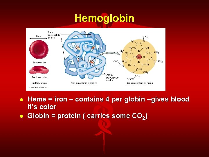 Hemoglobin Heme = iron – contains 4 per globin –gives blood it’s color Globin