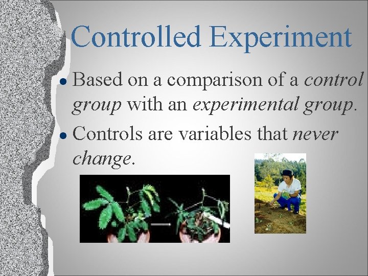 Controlled Experiment Based on a comparison of a control group with an experimental group.
