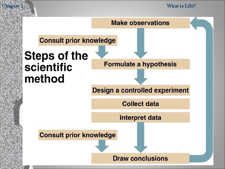 Chapter 1 What is Life? 