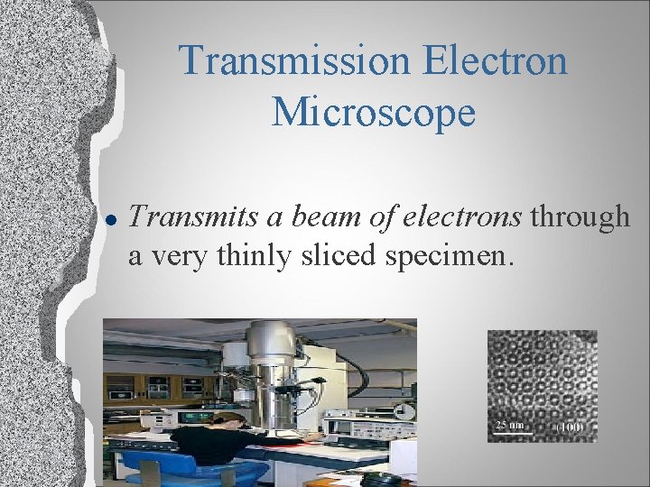Transmission Electron Microscope l Transmits a beam of electrons through a very thinly sliced