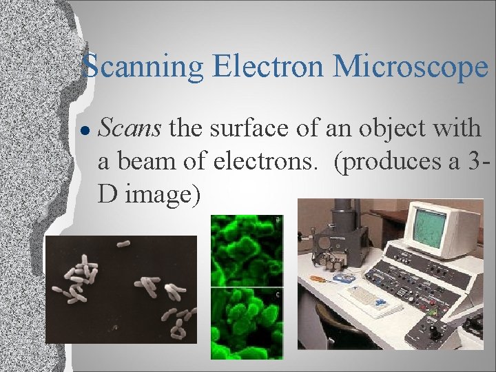 Scanning Electron Microscope l Scans the surface of an object with a beam of