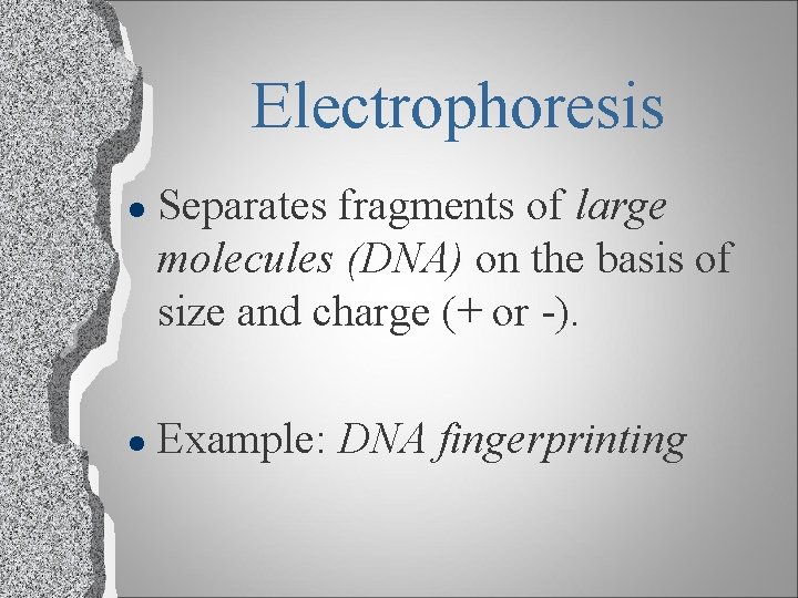 Electrophoresis l l Separates fragments of large molecules (DNA) on the basis of size