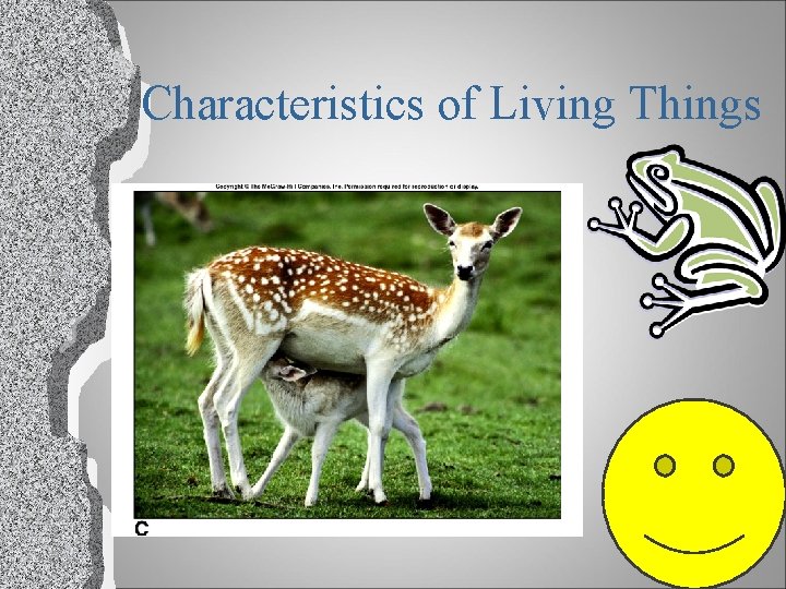 Characteristics of Living Things 