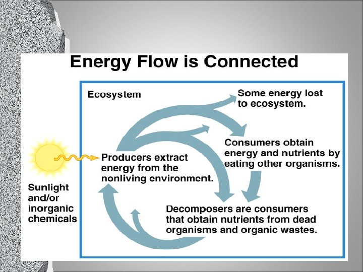 l What are the Characteristics of Life? 