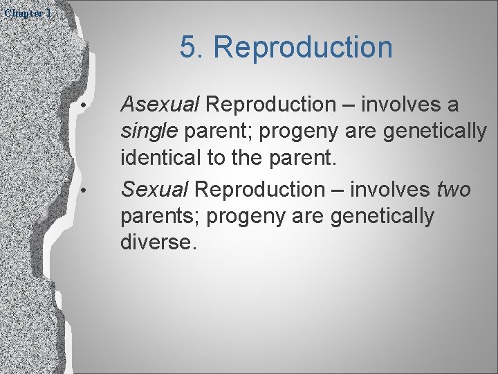 Chapter 1 5. Reproduction • • Asexual Reproduction – involves a single parent; progeny