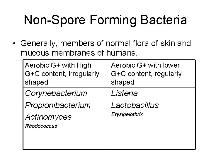 Non-Spore Forming Bacteria • Generally, members of normal flora of skin and mucous membranes