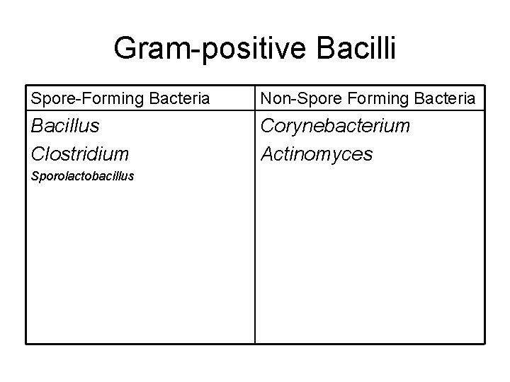 Gram-positive Bacilli Spore-Forming Bacteria Non-Spore Forming Bacteria Bacillus Clostridium Corynebacterium Actinomyces Sporolactobacillus 