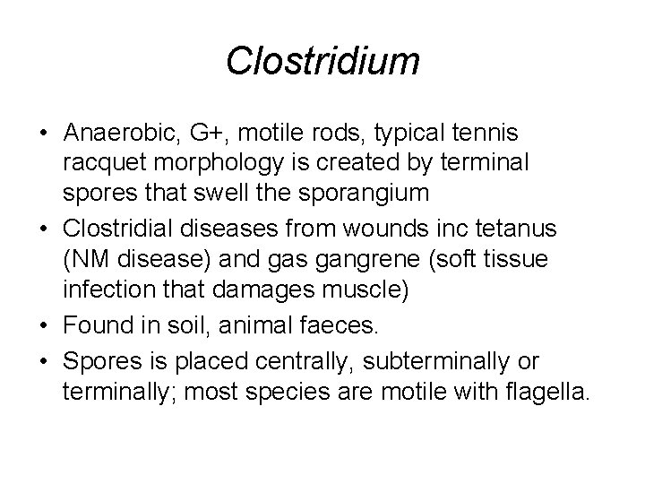 Clostridium • Anaerobic, G+, motile rods, typical tennis racquet morphology is created by terminal