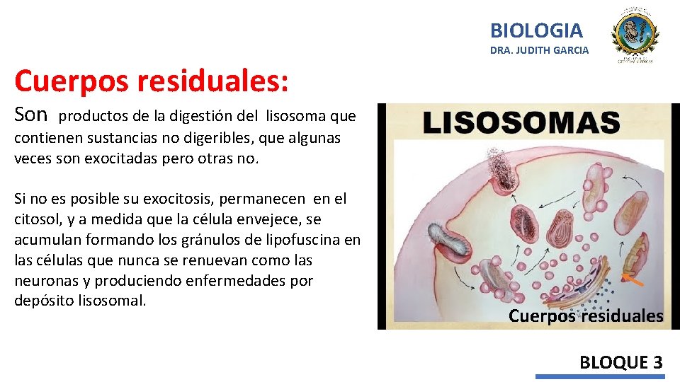 BIOLOGIA DRA. JUDITH GARCIA Cuerpos residuales: Son productos de la digestión del lisosoma que