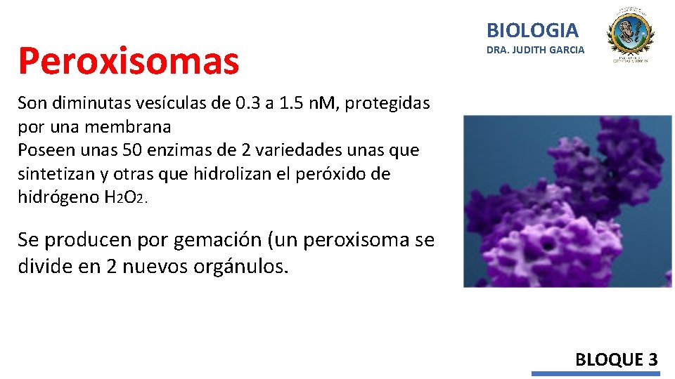 Peroxisomas BIOLOGIA DRA. JUDITH GARCIA Son diminutas vesículas de 0. 3 a 1. 5