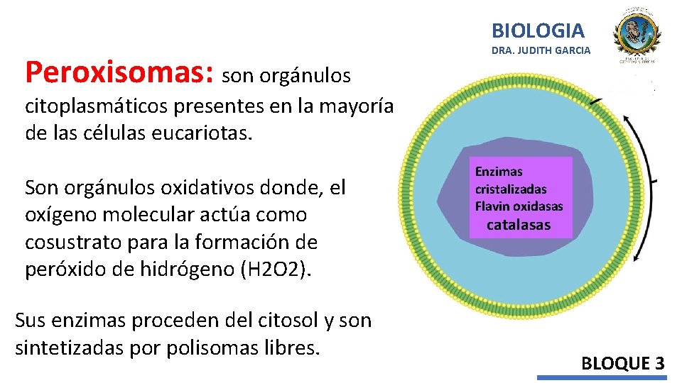 BIOLOGIA Peroxisomas: son orgánulos DRA. JUDITH GARCIA citoplasmáticos presentes en la mayoría de las