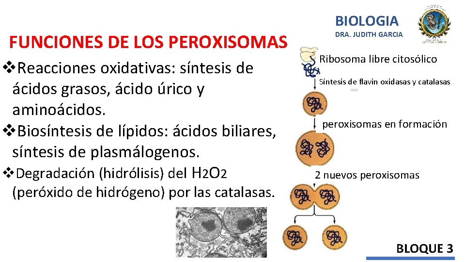 FUNCIONES DE LOS PEROXISOMAS v. Reacciones oxidativas: síntesis de ácidos grasos, ácido úrico y