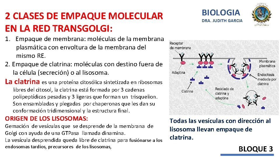 2 CLASES DE EMPAQUE MOLECULAR EN LA RED TRANSGOLGI: BIOLOGIA DRA. JUDITH GARCIA 1.