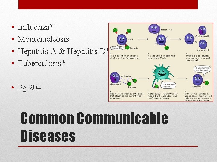  • • Influenza* Mononucleosis. Hepatitis A & Hepatitis B* Tuberculosis* • Pg. 204