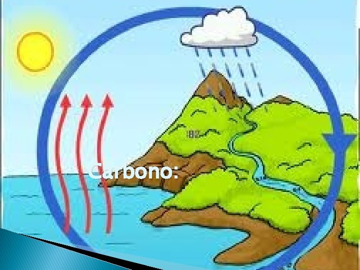 Carbono: Carbono: