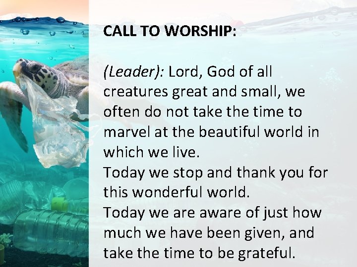 CALL TO WORSHIP: (Leader): Lord, God of all creatures great and small, we often