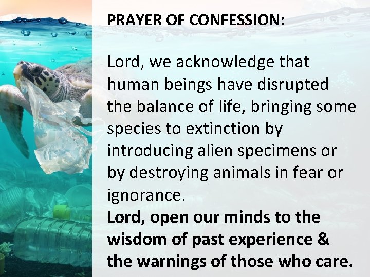 PRAYER OF CONFESSION: Lord, we acknowledge that human beings have disrupted the balance of