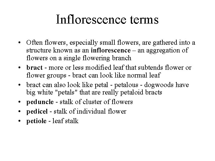 Inflorescence terms • Often flowers, especially small flowers, are gathered into a structure known