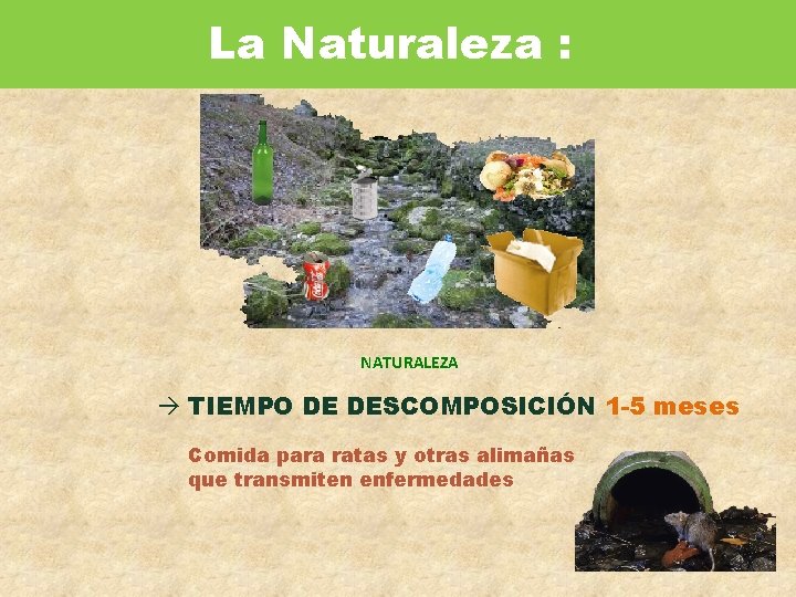 La Naturaleza : NATURALEZA TIEMPO DE DESCOMPOSICIÓN 1 -5 meses Comida para ratas y