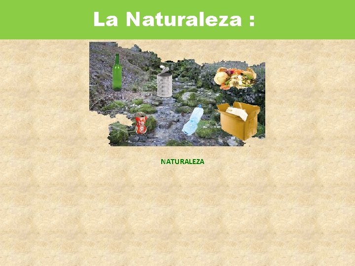 La Naturaleza : NATURALEZA 