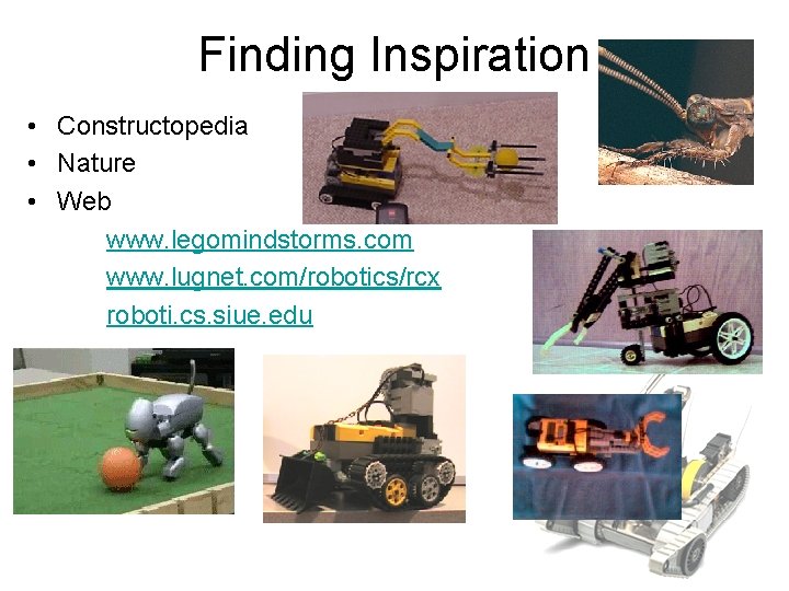 Finding Inspiration • Constructopedia • Nature • Web www. legomindstorms. com www. lugnet. com/robotics/rcx