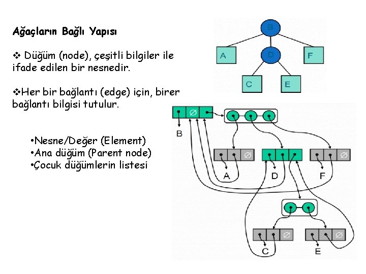 Ağaçların Bağlı Yapısı v Düğüm (node), çeşitli bilgiler ile ifade edilen bir nesnedir. v.