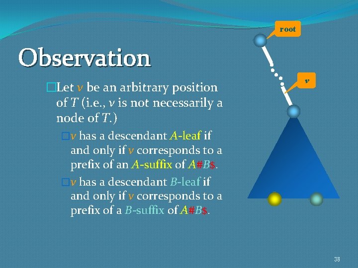 root Observation �Let v be an arbitrary position of T (i. e. , v