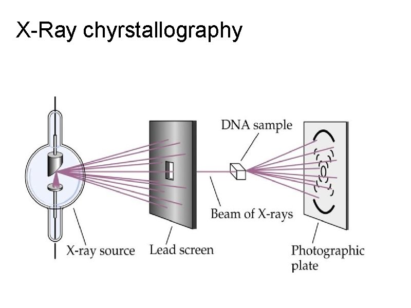 X-Ray chyrstallography 