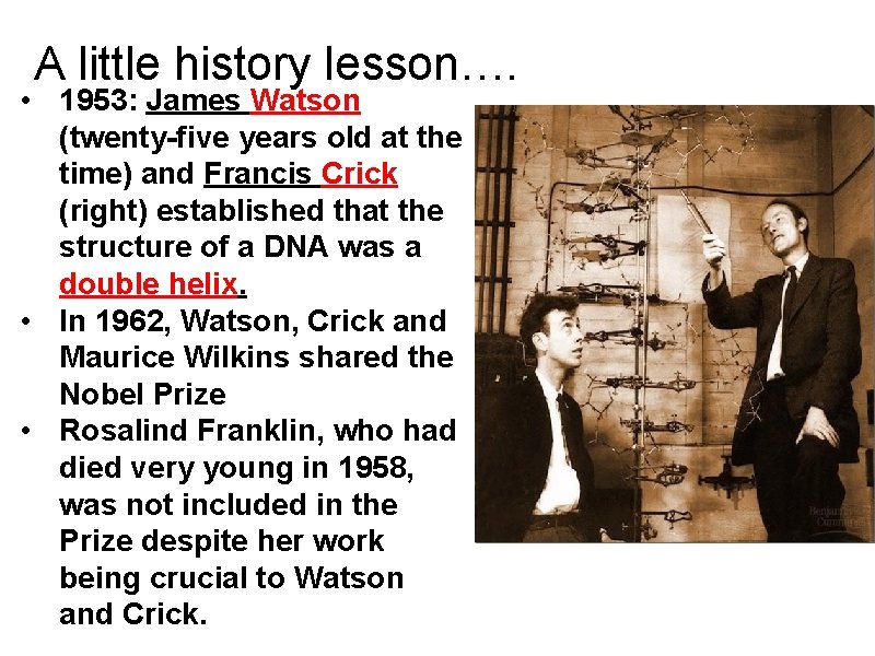 A little history lesson…. • 1953: James Watson (twenty-five years old at the time)