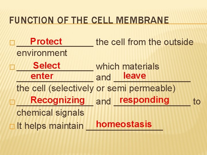 FUNCTION OF THE CELL MEMBRANE Protect � ________ the cell from the outside environment